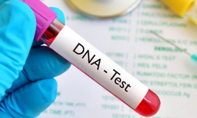 DNA: Medical errors, inaccuracies in genetic testing, and baby exchange, among others responsoble For Paternity Errors