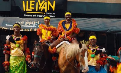 A FAILED ATTEMPT TO HIJACK THE ILÉ IYÁN BRAND