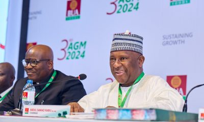 BUA Foods Achieves Record-Breaking Growth: Revenue Soars 109% to ₦1.53 Trillion in FY 2024