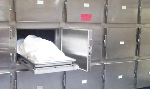 Lawyer killed after depositing mother’s remains in morgue