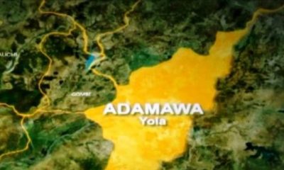 Five remanded in Adamawa for defiling minor