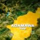 Five remanded in Adamawa for defiling minor
