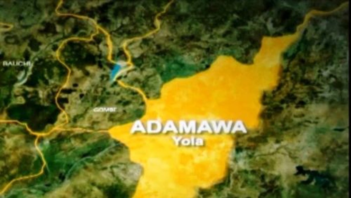 Five remanded in Adamawa for defiling minor