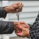 10 Benefits of Joint Property Ownership in Nigeria by Dennis Isong 