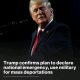 Trump Confirms Plan To Use Military For Mass  Deportations 