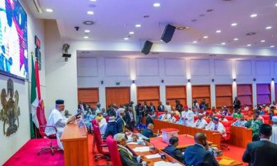Senate summons Keyamo over flight delays, others
