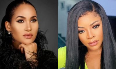 Drama and Redemption: Carolyna Hutchings Publicly Apologizes to Laura Ikeji on Real Housewives of Lagos