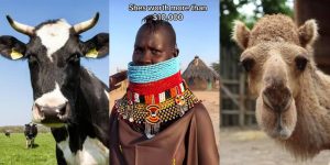 African Woman’s Shocking Bride Price Demand Sparks Online Frenzy