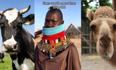 African Woman’s Shocking Bride Price Demand Sparks Online Frenzy