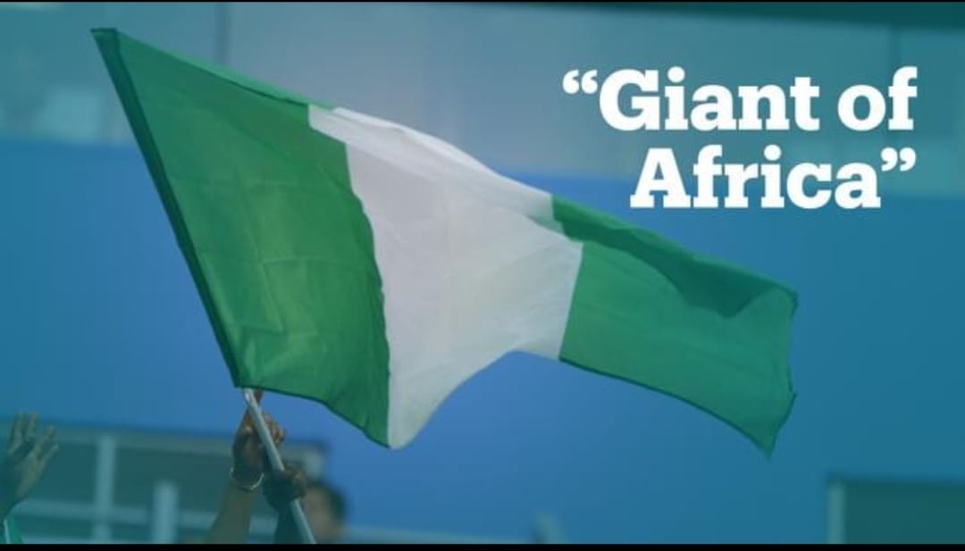 From Giant to Beggar: The Tragic Collapse of Nigeria Under APC Rule