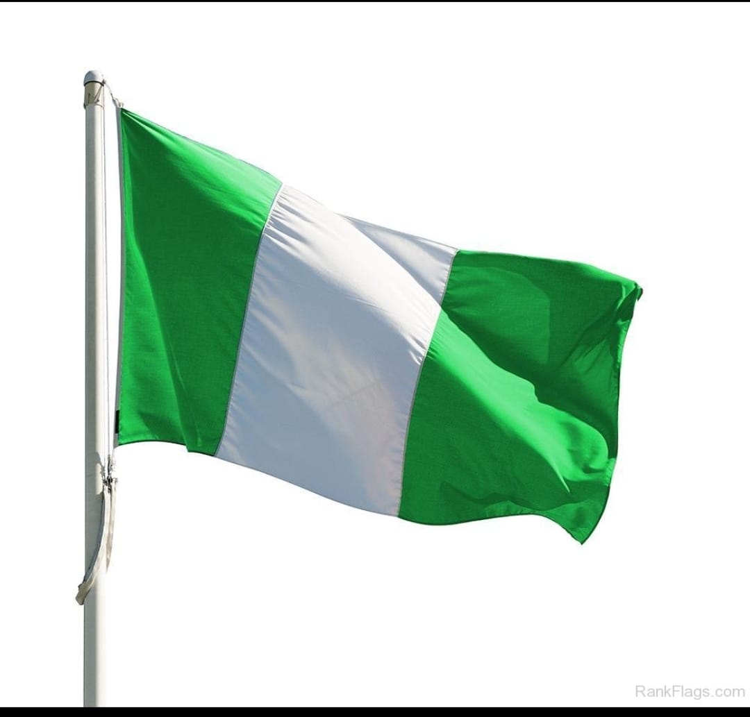 Reclaiming Identity: Why Nigerians Must Know Their State Flags, Capitals, and Heritage By George Omagbemi Sylvester