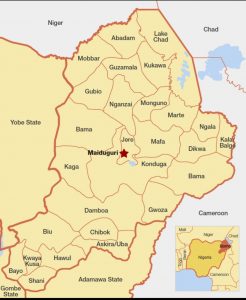 Fueling Terror: The Unforgivable Betrayal Within Nigerian Borders
By George O. Sylvester