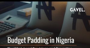 A Nation Betrayed: How NASS Budget Padding Exposes Tinubu’s Complicity and the Rot in Nigeria’s Leadership.
By George Omagbemi Sylvester