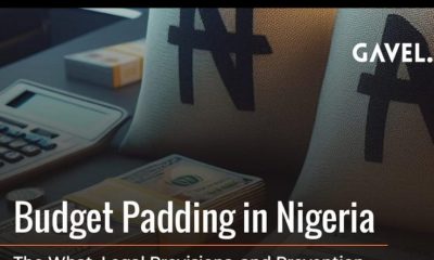 A Nation Betrayed: How NASS Budget Padding Exposes Tinubu’s Complicity and the Rot in Nigeria’s Leadership. By George Omagbemi Sylvester