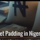 A Nation Betrayed: How NASS Budget Padding Exposes Tinubu’s Complicity and the Rot in Nigeria’s Leadership. By George Omagbemi Sylvester