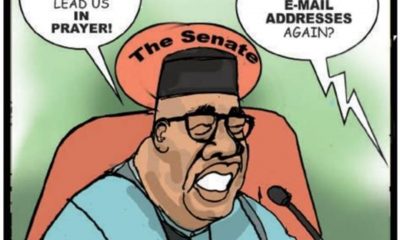 The Real Terrorists Wear Agbada: Tinubu Doctrine of Economic Terrorism By George Omagbemi Sylvester