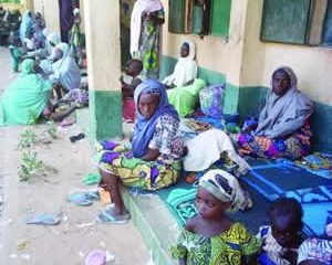 Nigeria on the Brink: Terrorists Advance as Military Struggles to Hold the Line