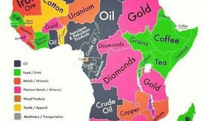 From Wealth to Chains: How the World Bank and IMF Drowned Nigeria and Africa in Debt By George Omagbemi Sylvester For Sahara Weekly Nigeria | www.saharaweeklyng.com