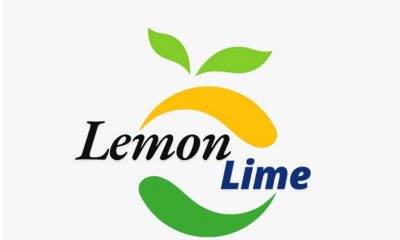 LEMONLIME NIGERIA LIMITED OFFICIALLY LAUNCHES: A ZESTY TAKE ON PUBLIC RELATIONS WITH A BOLD, MODERN TWIST