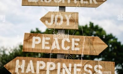 When You Accept, You Win: The Untold Secret to Inner Peace. By George Omagbemi Sylvester | Published by SaharaWeeklyNG.com